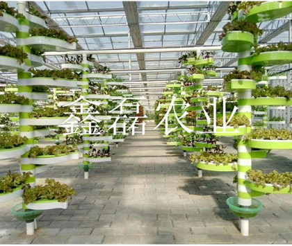 花卉、育苗基地