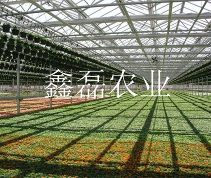 花卉、育苗基地